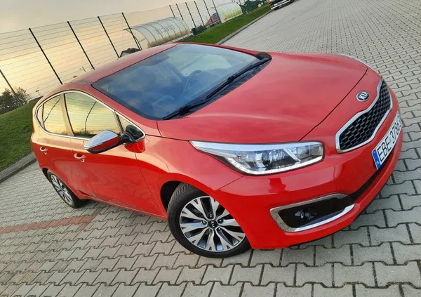 samochody osobowe Kia Ceed cena 47800 przebieg: 175000, rok produkcji 2018 z Gliwice